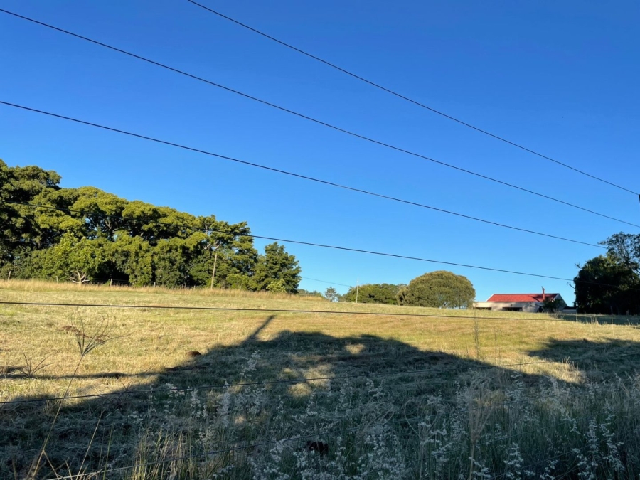 3 Bedroom Property for Sale in Bathurst Eastern Cape